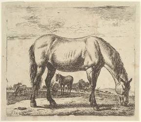 Weidendes Pferd, aus Verschiedene Tiere