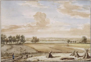 Sommerliche Flachlandschaft mit reifen Kornfeldern