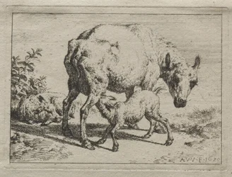 Das Mutterschaf und zwei Lämmer