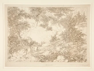 Landschaft