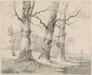Winterlandschaft