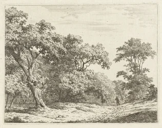 Landschaft mit Bäumen und einem Mann auf dem Weg