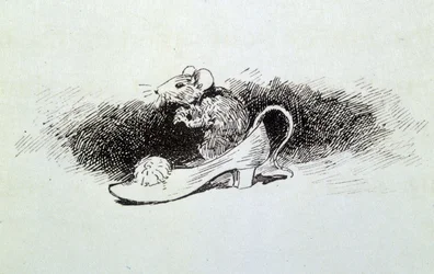 Aschenputtel - in „Die Märchen“ von Charles Perrault, Illustrationen von Adrien Marie