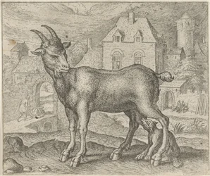 Fabel von der Ziege und dem jungen Wolf