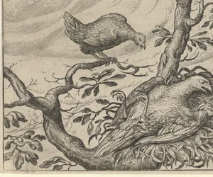 Fabel vom kranken Geier