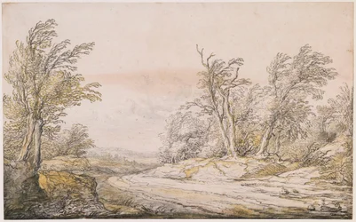 Ein Weg in den Dünen