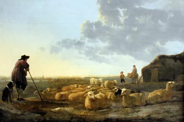 Schafherde auf der Weide