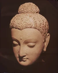Kopf von Buddha, griechisch-buddhistischer Stil, aus Hadda