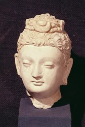 Kopf eines Buddha, griechisch-buddhistischer Stil, aus Hadda (Stuck)