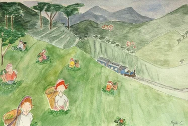 Die Reise, Darjeeling, 2015