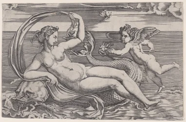 Venus auf einem Delphin ruhend