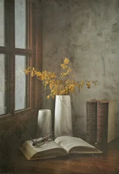Offenes Buch Fensterlicht