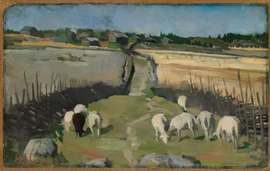 Landschaft mit Schafen