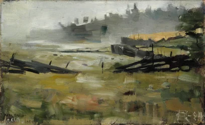 Nebelige Landschaft