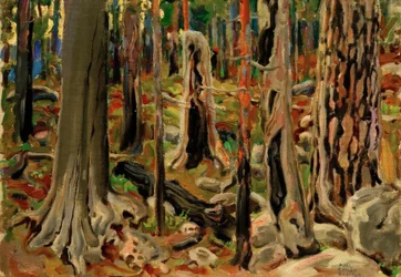 Der verbrannte Wald