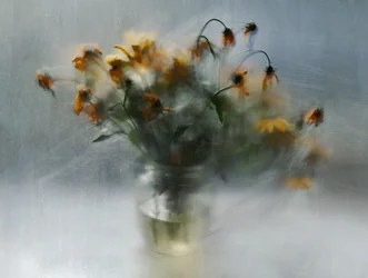 Träumerische Verblassende Blumen