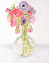 Anemonen, 1982
