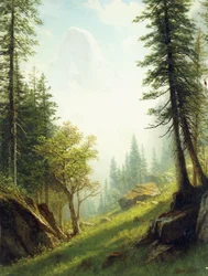 In den Berner Alpen