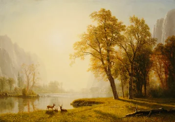 Yosemite-Tal