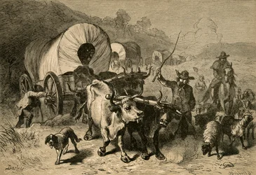 Auswanderung in das westliche Land, 1877