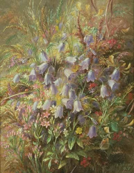 Glockenblumen und andere Waldblumen und Gräser