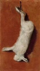 Toter Hase, Studie