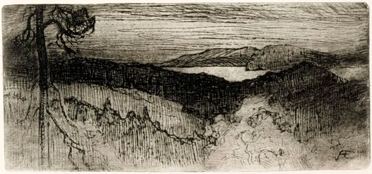 Landschaft aus Tavastland