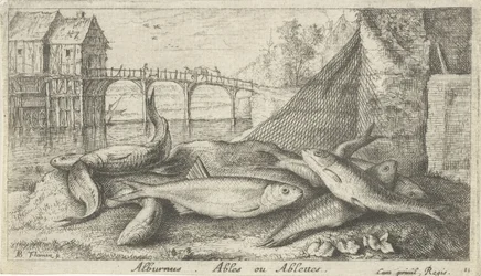 Alburnus am Flussufer