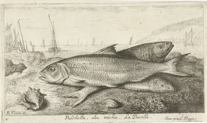 Drei Fische am Strand
