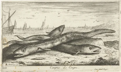 Drei Seeaale am Strand