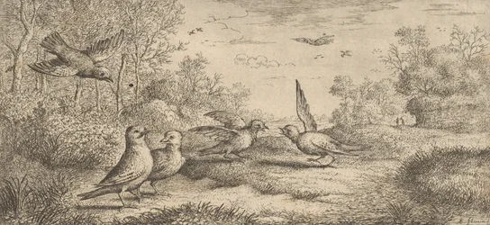 Garrulus, Gey Der Eichelhäher: Livre d