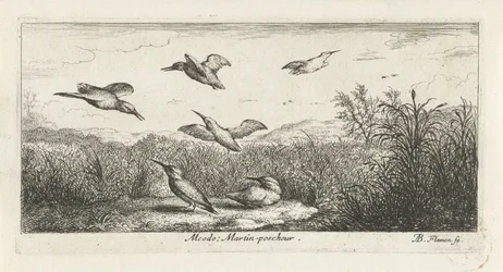 Landschaft mit Eisvögeln