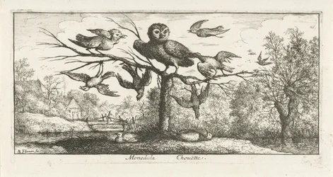 Landschaft mit Kircheule zwischen anderen Vögeln
