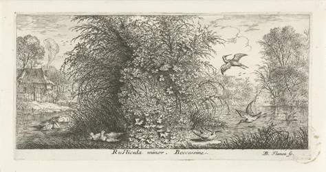 Landschaft mit Bekassine