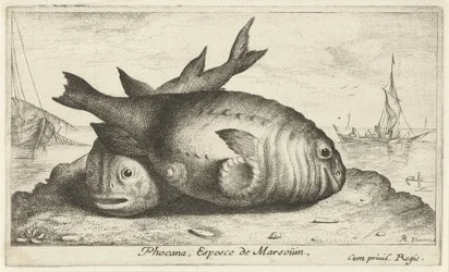 Zwei Schweinswale am Strand