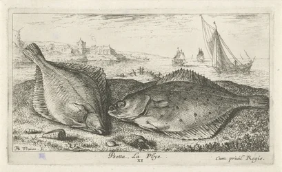 Zwei Plattfische am Strand