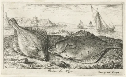 Zwei Plattfische am Strand
