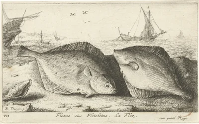 Zwei Schollen am Strand