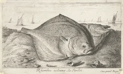 Zwei Steinbutte am Strand