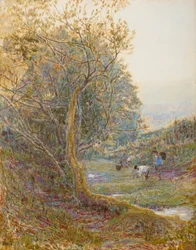 Ein Weg in Devonshire