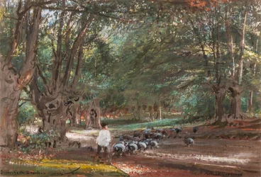 Burnham Beeches