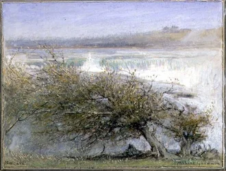 Niagara im Frühling