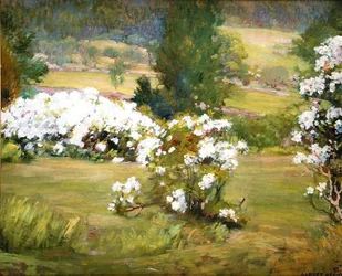 Blühende Blumen, ca. 1925