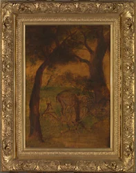 Ein Hirsch trinkt, ca. 1870er Jahre