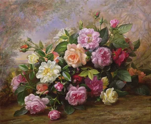 Eine Fantasie von Rosen