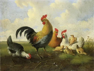 Ein Hahn mit Hennen und Küken