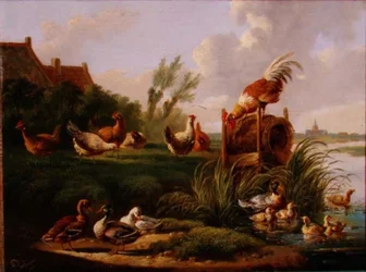 Enten und Geflügel an einem Flussufer