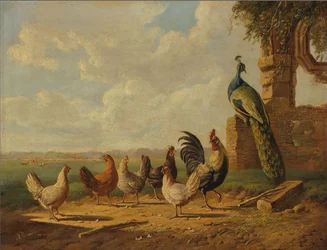 Hühner und Pfau in einer Landschaft