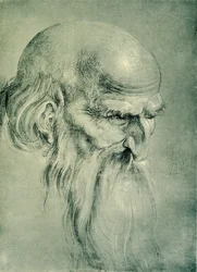 Apostelkopf