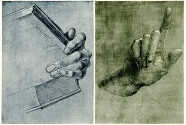 Hand mit Buch